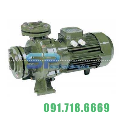 Máy bơm ly tâm động cơ 2 cực Saer IR65-160A - Ảnh 1
