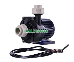 Giá bơm dẫn động từ mã TDM-350PERU-DC48 tốc độ quay 2400 vòng/phút