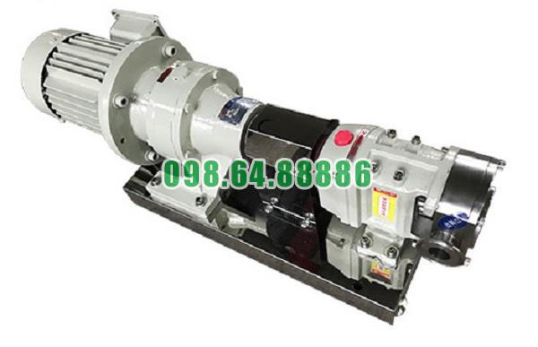 Máy bơm cánh khế 3RP-20 lưu lượng 9 m3/h áp suất 0.6 MPa công suất 2.2kW