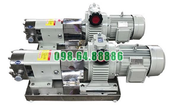 Máy bơm lobe 3RP-5 lưu lượng 3 m3/h áp suất 0.6 MPa đường kính kết nối 25 mm